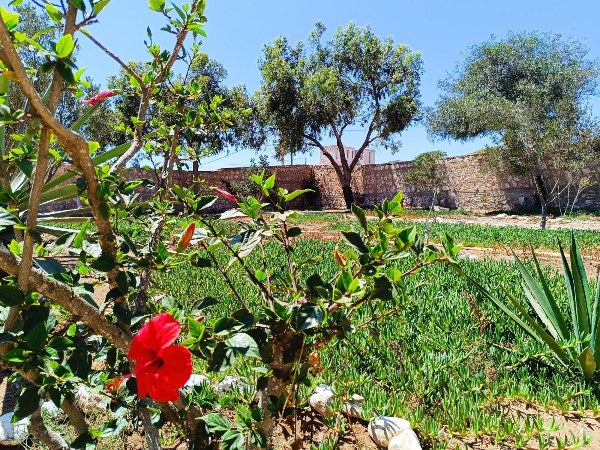 L'Abri Cotier De Dar Nezza Apartment Sidi Kaouki Exterior photo
